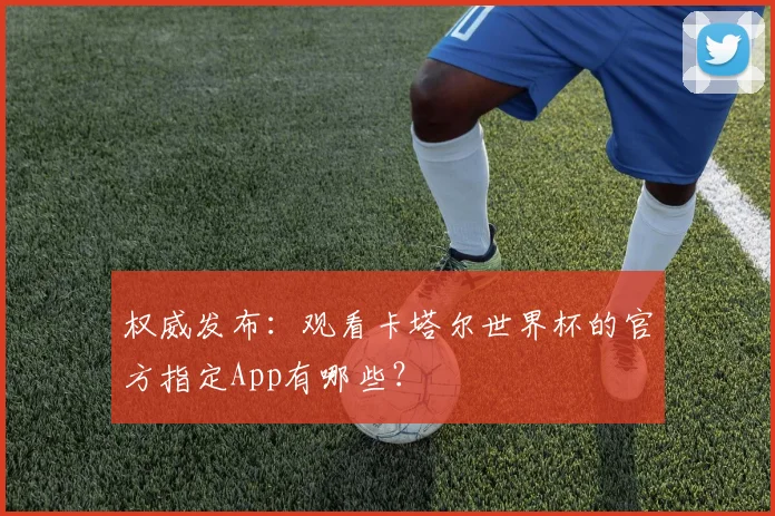 权威发布：观看卡塔尔世界杯的官方指定App有哪些？