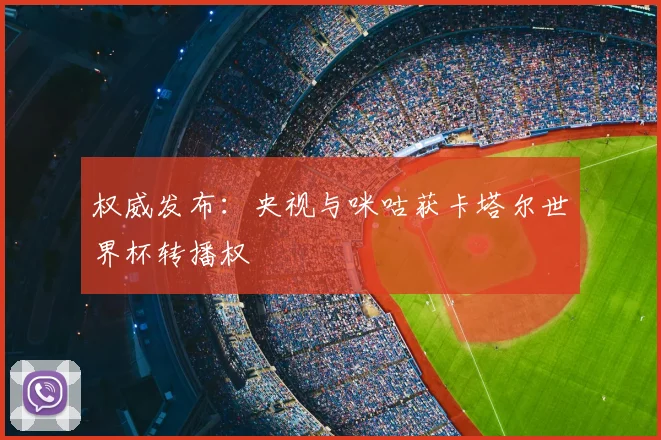 权威发布：央视与咪咕获卡塔尔世界杯转播权