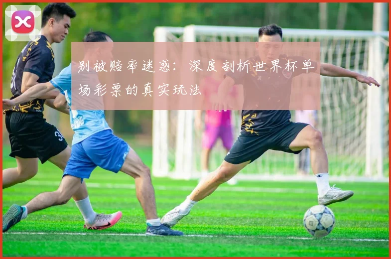 别被赔率迷惑:深度剖析世界杯单场彩票的真实玩法