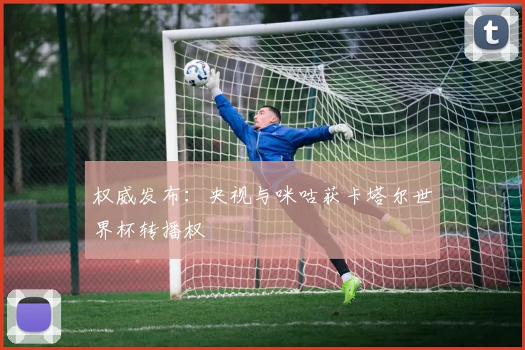 权威发布：央视与咪咕获卡塔尔世界杯转播权