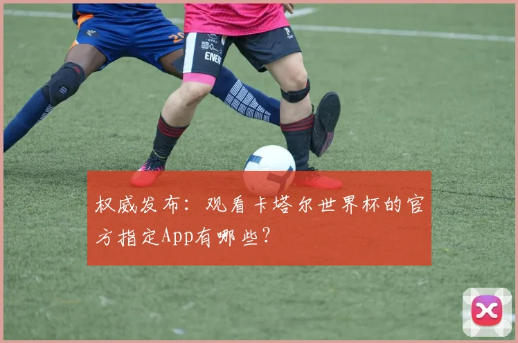 权威发布：观看卡塔尔世界杯的官方指定App有哪些？