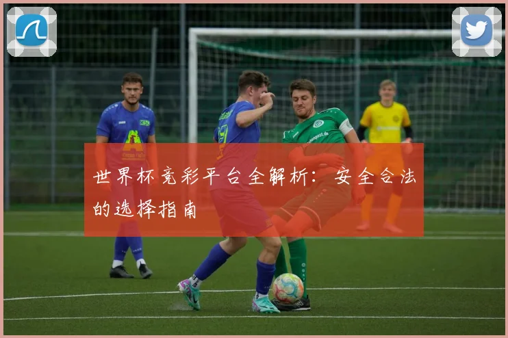 世界杯竞彩平台全解析:安全合法的选择指南