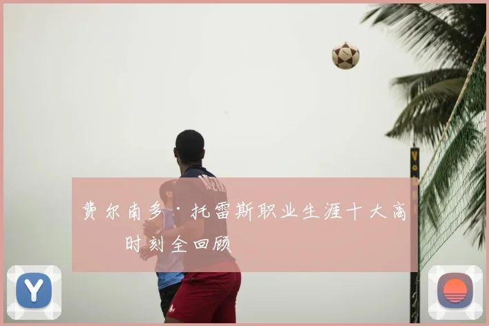 费尔南多·托雷斯职业生涯十大高光时刻全回顾