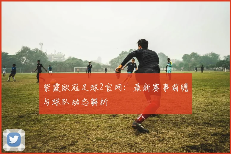 紫霞欧冠足球2官网：最新赛事前瞻与球队动态解析