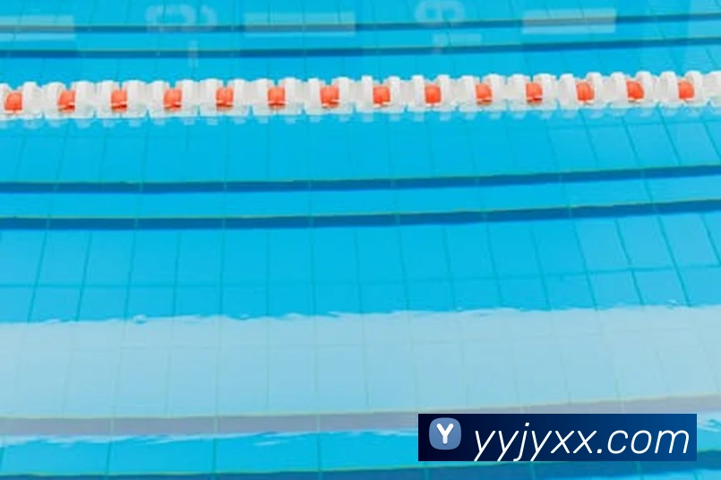 开云手机登录官网APP 封面图